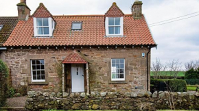 Windyrig